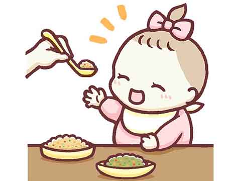 食育コラム－離乳食に取り入れる時期と固さの目安