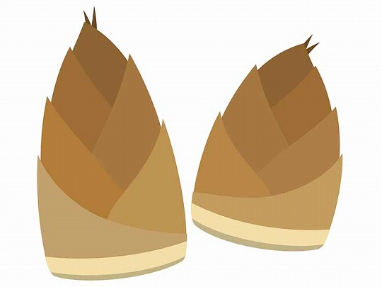 たけのこ（筍）