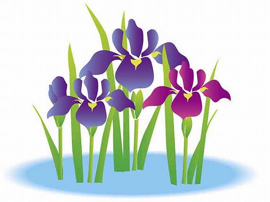 菖蒲｜「こどもの日（端午の節句）」の由来と 家族で楽しむ「行事食」【季節の行事コラム】