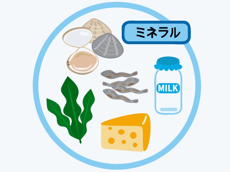 【ミネラル】は からだに必要不可欠！上手に取り入れて健康をサポートしよう！【食育コラム】