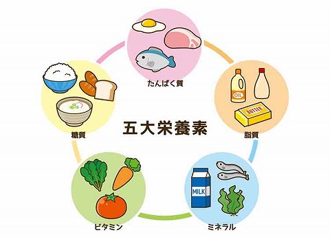 五大栄養素｜【ミネラル】は からだに必要不可欠！上手に取り入れて健康をサポートしよう！【食育コラム】