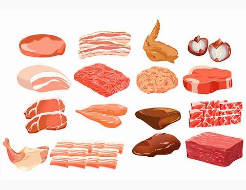 肉類｜【たんぱく質】は、「筋肉」や「血液」など あらゆるからだの組織の材料となる栄養素？【食育コラム】