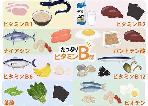 ビタミンB｜【ビタミン】の働きって？上手な摂り方を知って、日々の体調管理に活かそう！【食育コラム】