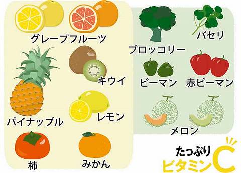 ビタミンC｜【ビタミン】の働きって？上手な摂り方を知って、日々の体調管理に活かそう！【食育コラム】