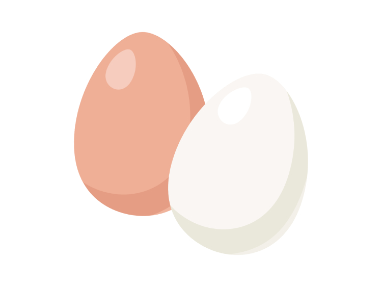 「たまご（卵）」の こどもに話したい！栄養と調理・保存のコツ【食育コラム】