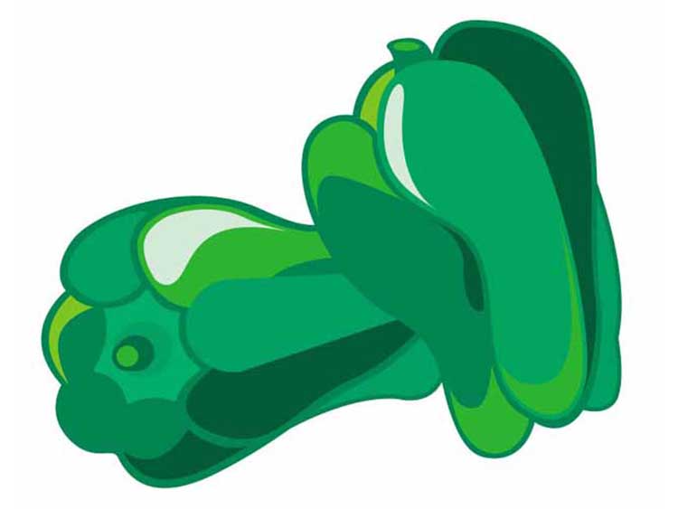 「ピーマン」 の知っておきたい！栄養と調理・保存のコツ 【食育コラム】