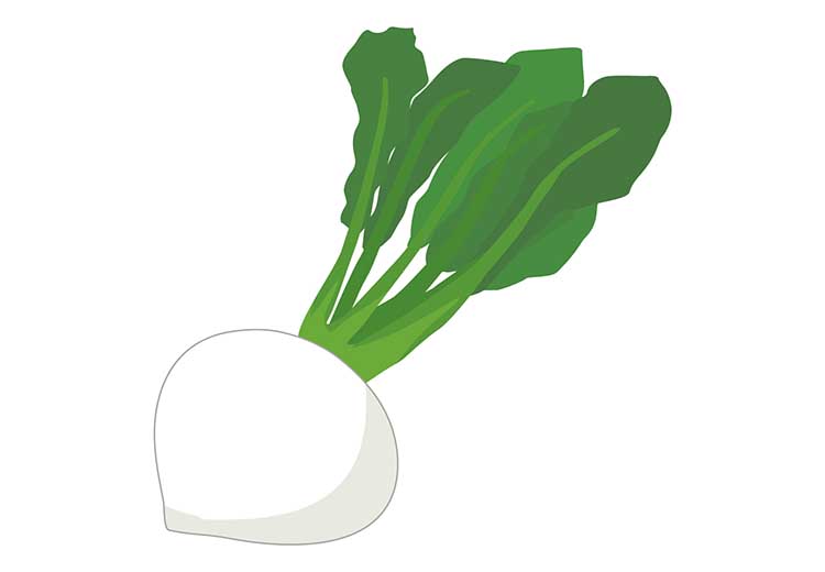 「かぶ（蕪）」の知っておきたい！栄養と調理・保存のコツ【食育コラム】