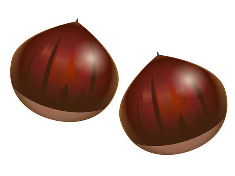 「くり（栗）」の知っておきたい！栄養と調理・保存のコツ【食育コラム】