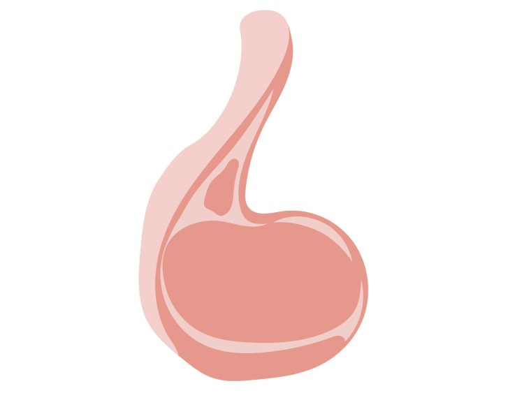 「ラム肉（羊肉・マトン）」の こどもに話したい！栄養と調理・保存のコツ【食育コラム】