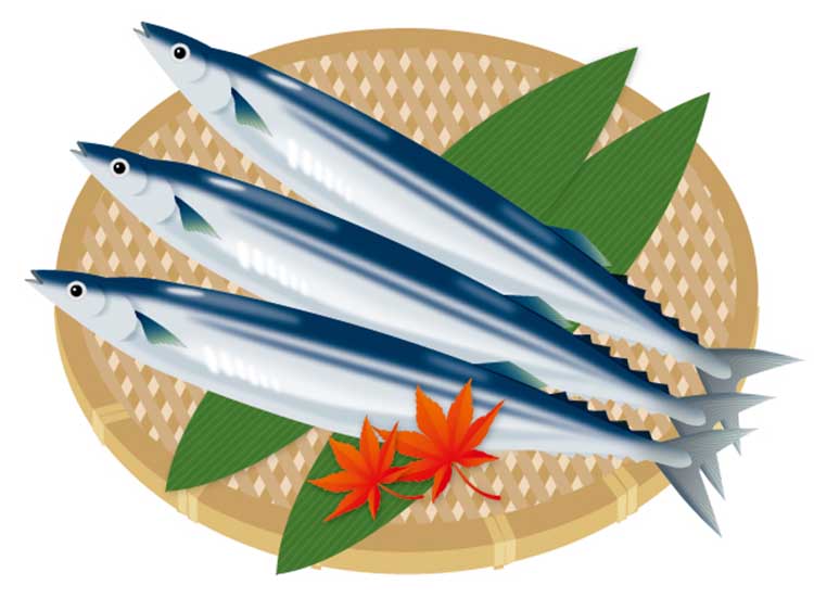 「さんま（秋刀魚）」の知っておきたい！栄養と調理・保存のコツ【食育コラム】