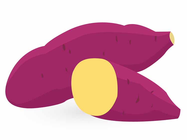 秋の味覚「さつま芋（さつまいも）」【食育コラム】