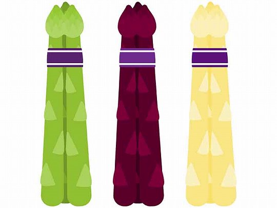 グリー、紫、ホワイトアスパラ