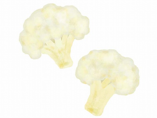 「カリフラワー」の こどもに話したい！栄養と調理・保存のコツ【食育コラム】