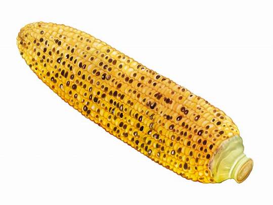 焼きとうもろこし