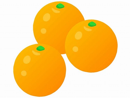 「きんかん（金柑）」の知っておきたい！栄養と調理・保存のコツ【食育コラム】