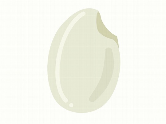 「おこめ（お米）」の こどもに話したい！栄養と調理・保存のコツ【食育コラム】