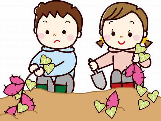 「さつまいも」の知っておきたい！栄養と調理・保存のコツ【食育コラム】