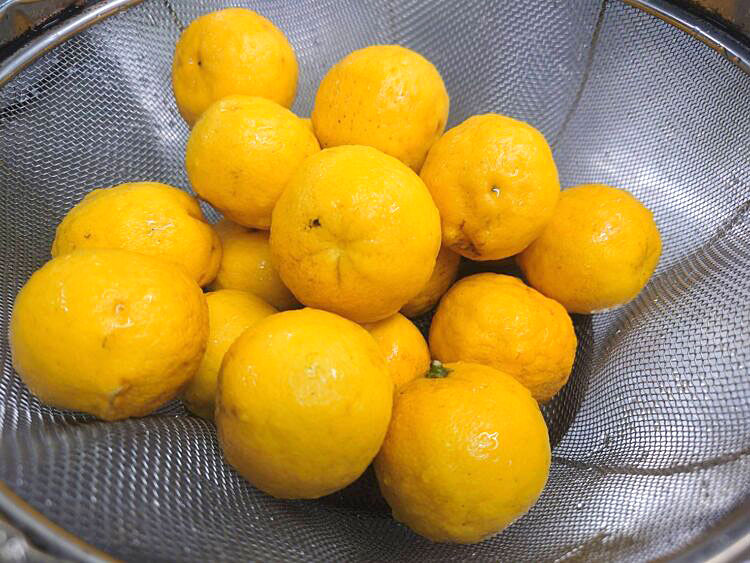 保育園の柚子（ゆず）でジャムづくり　委託給食・自園給食