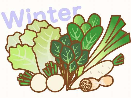 冬の野菜