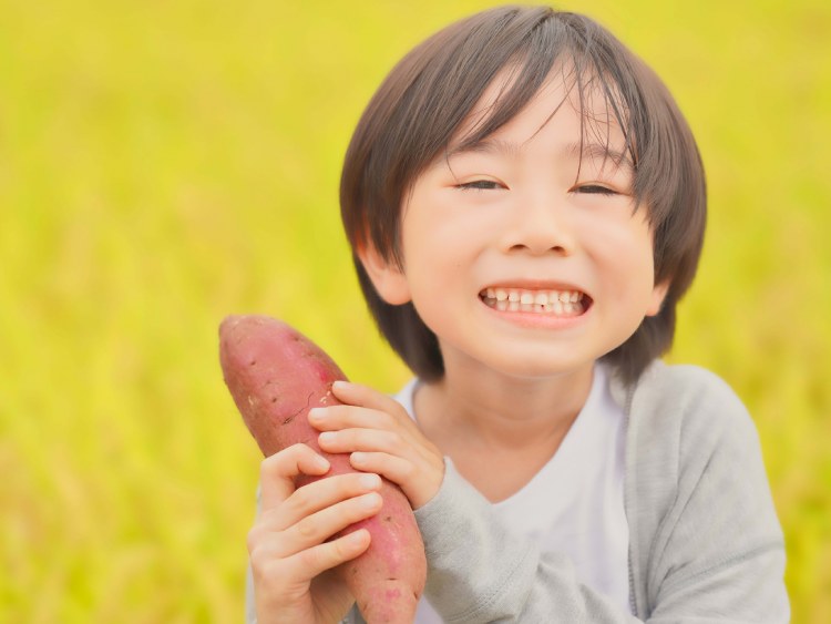 野菜って、「仲間分け」できるって知ってる？ 〜食べる前に、まずは“話して楽しむ”野菜のおはなし（野菜の区分について）〜【お家で食育コラム vol.12】